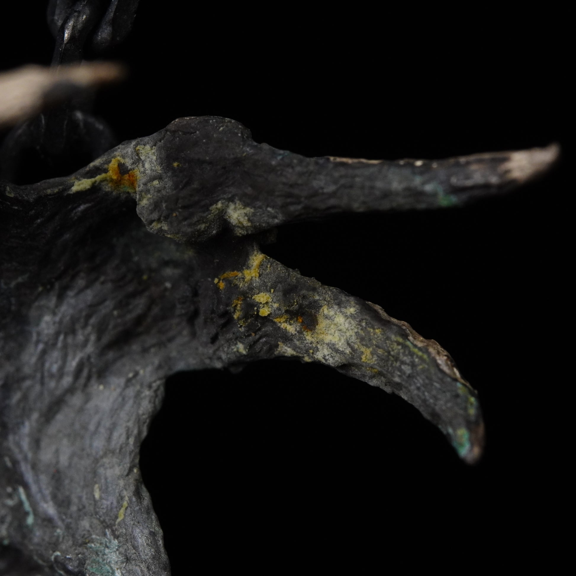 ORCUS RADIX TENEBRIS